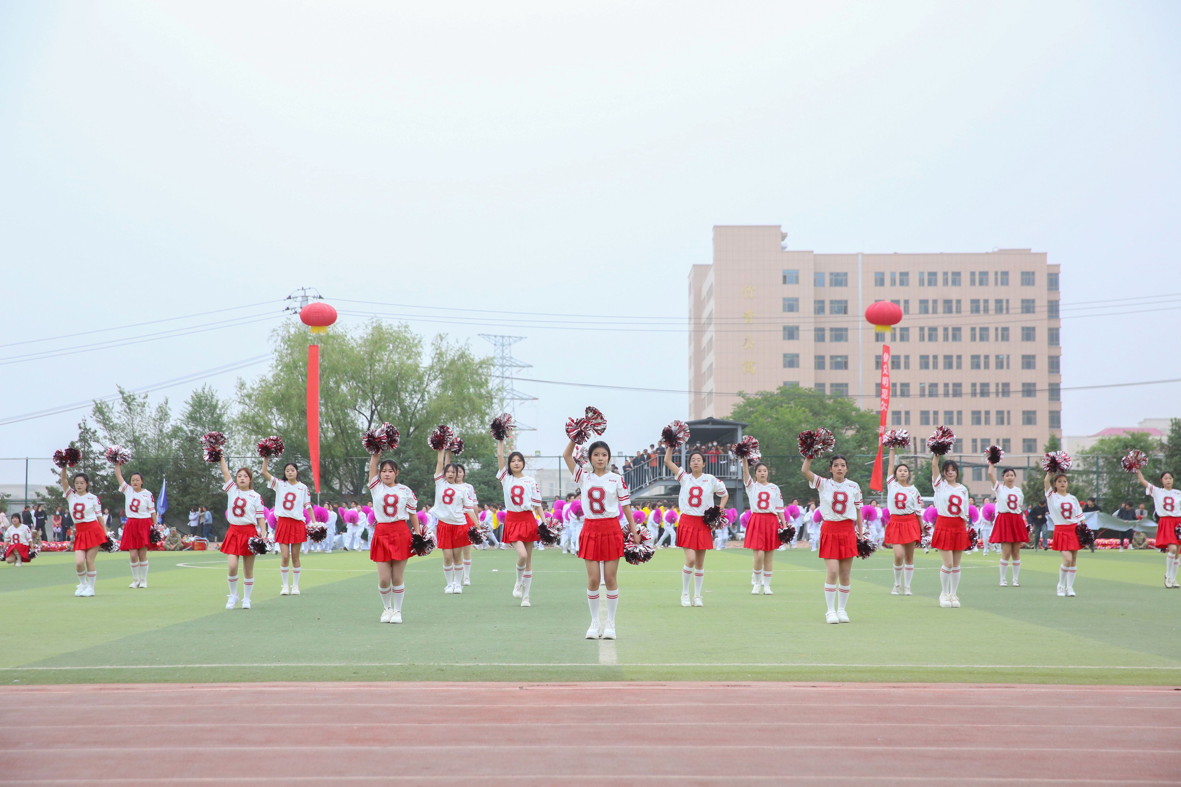 D6058